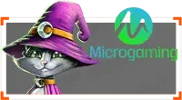 Micro Gaming